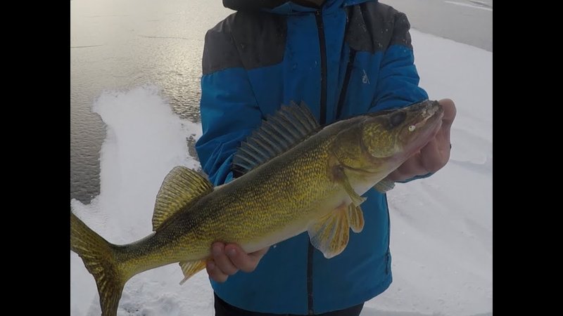Experience the Thrill of Ice Fishing at the UK's Latest Live Casino Game - overview Experience the Thrill of Ice Fishing at the UK's Latest Live Casino Game - overview