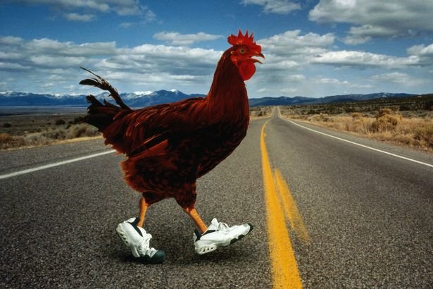 Découvrez chicken road jeu